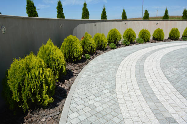 Best Driveway Pavers Near Me  in Parlier, CA